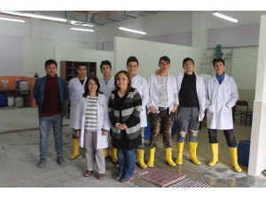 Çankırı’da Öğrenciler İller İçin Yetecek Kadar Dezenfektan Üretiyor