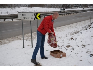 Sokak Hayvanları Unutulmadı