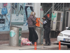 Hiçbir Şeye Aldırmadan Çöp Bidonuna Daldılar