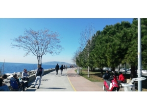 Zabıtalardan Sahilde Mangal Denetimi