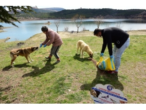Çorum’da Sokak Ve Yaban Hayvanlarını Unutmadı