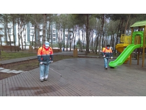 Başkan Sandıkçı: "El Birliği İle Bu Salgını Önleyeceğiz"