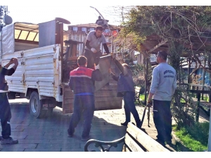 Vatandaşlar Uyarıya Rağmen Sokağa Çıktı, Belediye Bankları Kaldırdı