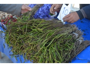 Tilkimen Otu Tezgahta Yerini Aldı