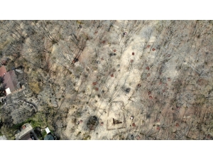 Piknikçiler Uyarılara Uydu, Belgrad Ormanı Boş Kaldı