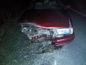 Otomobil Domuz Sürüsüne Çarptı