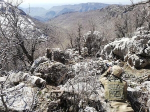 Mardin’de Güvenlik Güçlerine El Bombası Atma Hazırlığında Olan Terörist Etkisiz Hale Getirildi