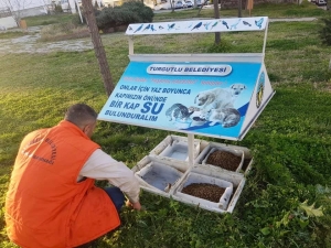 Turgutlu’da Sokak Hayvanları Da Unutulmadı