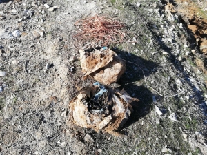 Köy Yoluna Tuzaklanmış 60 Kilogram Patlayıcı Ele Geçirildi