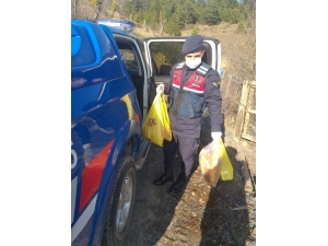 Daday’da Evinde Kalan Yaşlıların İhtiyaçları Jandarma Tarafından Karşılandı