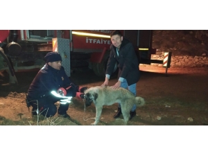Konya’da Köpek Kurtarma Operasyonu