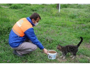 Nilüfer’de Can Dostları Unutulmuyor