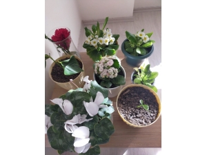 Tdv Öğrencilerinden “Evde Kal” Etkinliği