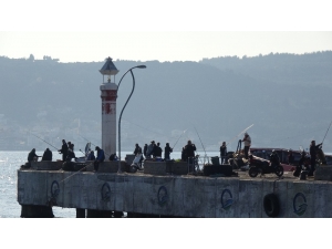 O İskele Koronavirüs Sebebiyle Kapatıldı