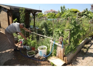 Hobi Bahçeleri Kapatıldı