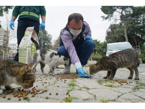 Konak, Can Dostları Unutmadı