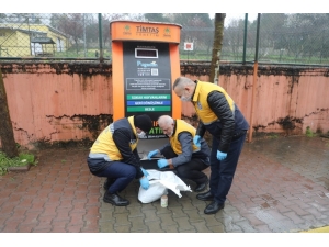 Eyüpsultan’da Sokak Hayvanları İçin Besleme Çalışmaları