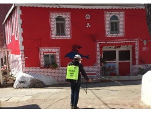 Adalarda Dezenfekte Çalışmaları Yapıldı