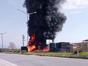 Narenciye Paketleme Tesisinde Yangın