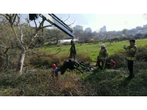 Çamura Saplanan İneğe Kurtarma Operasyonu