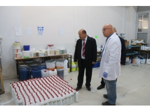 100 Çeşit Temizlik Ürünü