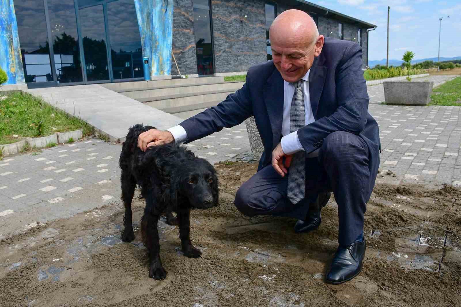 baskan-kul-bin-hayvan-kapasiteli-modern-tesisi-kisa-surede-tamamlayacagiz