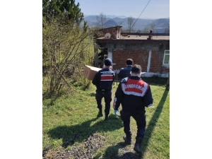 Ordu’da Vefa Sosyal Destek Grupları Bin 172 Vatandaşa Hizmet Etti