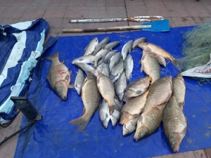 1 Nisan’da Su Ürünleri Avlanma Yasağı Başlıyor