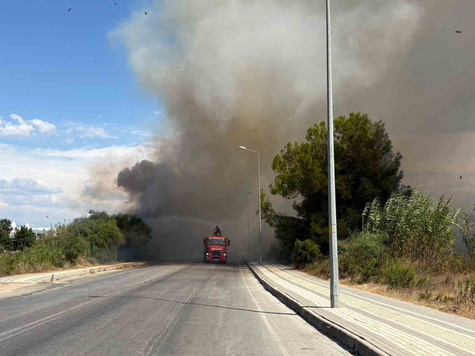 yol-kenarindan-baslayan-yangin-otel-bahcesinde-kontrol-altina-alindi