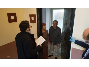 Aydın’da Gönüllü Öğretmenler Yaşlı Çınarlara El Uzattı