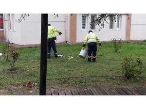 Park Ve Bahçelerin Temizliği Yapıldı