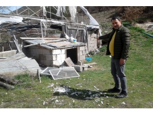 Gümüşhane’de Ayılar Bir Gecede 25 Tavuğu Yedi