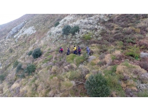 Dağda Mahsur Kalan Keçi İçin Çalışma Başlatıldı