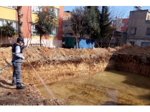 Haşereyle Mücadele Çalışmalarına Devam