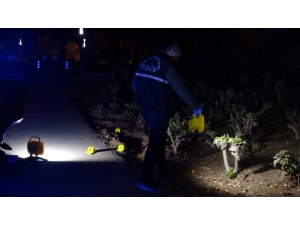 Antalya’da İki Grup Arasında Kavga: 10 Gözaltı