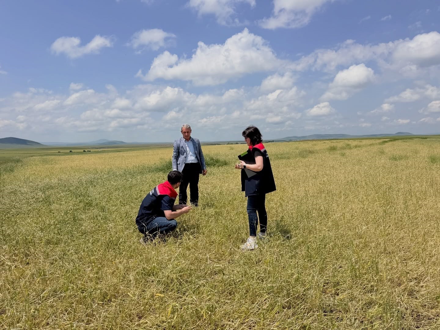 kars-ta-firtina-ve-dolu-sonrasi-hasar-tespit-calismalari-basladi