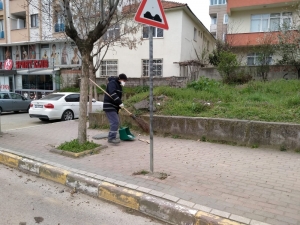 Darıca’da Cadde Ve Sokaklar Temizleniyor