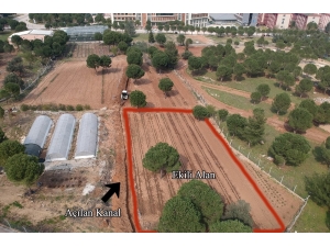 Rektör Bağ’dan Biyom Arazisinde Yapılan Alt Yapı Çalışmalarıyla İlgili Açıklama: