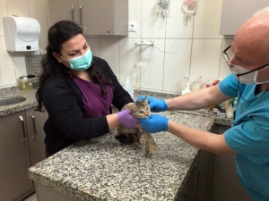 Can Dostlar Osmangazi’ye Emanet