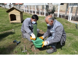 Kepez’de Mama Ve Su Kabı Sayısı Artırıldı