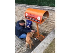 Hayvanların Yemlikleri Dezenfekte Edildi Yem Bırakıldı