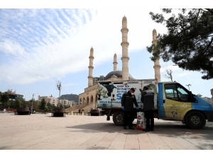 Büyükşehir Belediyesi Sokak Hayvanlarına Sahip Çıkıyor