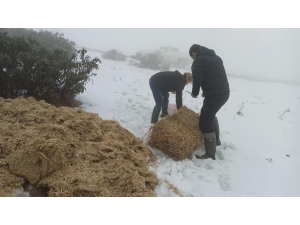 Mart Karı Ekipleri Hareketlendirdi