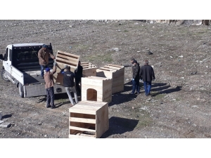 Hakkari’de Başıboş Hayvanlar İçin Önlem Alındı