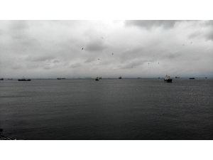 Korona Virüs Nedeniyle Sahiller Martılara Kaldı