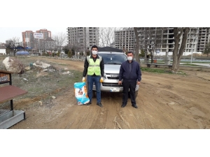 Sokak Hayvanları Unutulmadı