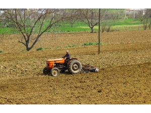 Yasakla Birlikte, Aydın’da Tarım Arazilerinin Çehresi Değişti