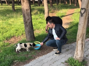 Sokak Hayvanları İçin Mama Bıraktılar