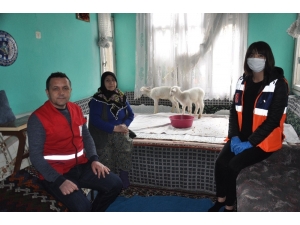 Onun Derdi Kuzuları