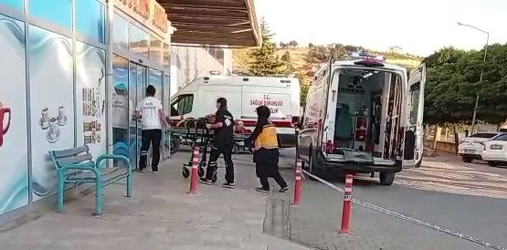 ceviz-agacindan-dusen-kisi-yaralandi